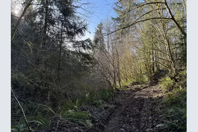 81739 Christmas Tree Rd, Seaside, OR 97138 - Photo 17