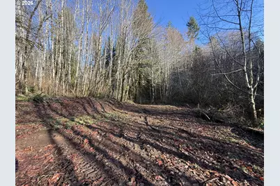 81739 Christmas Tree Rd, Seaside, OR 97138 - Photo 19