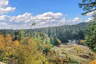 24763 Sturtevant Dr, Veneta, OR 97487 - Photo 37