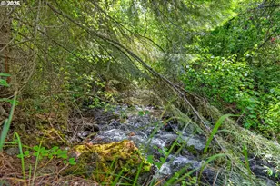25855 Pine Creek Rd, John Day, OR 97845 - Photo 17