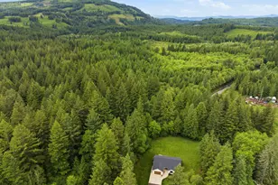 24315 NE Dole Valley Rd, Yacolt, WA 98675 - Photo 39