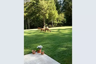 24315 NE Dole Valley Rd, Yacolt, WA 98675 - Photo 47