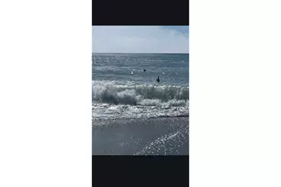 94097 Weber Way, Gold Beach, OR 97444 - Photo 33