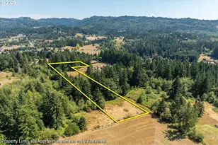 205 N Maple Hill Rd, Kelso, WA 98626 - Photo 43