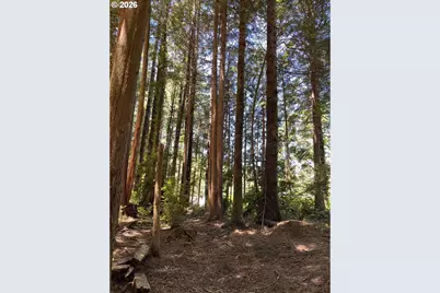 N Loftus Rd, Florence, OR 97439 - Photo 7