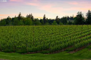 30460 NE Bell Rd, Newberg, OR 97132 - Photo 41