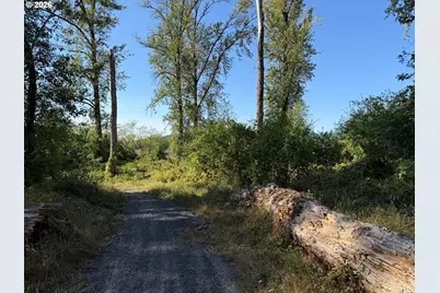 175 Coho Loop, Woodland, WA 98674 - Photo 45