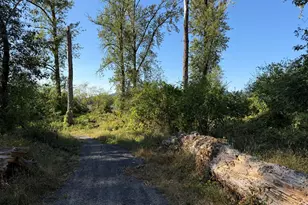 175 Coho Loop, Woodland, WA 98674 - Photo 45