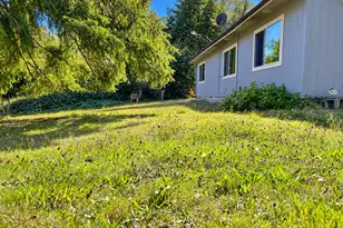 99330 S Bank Chetco River Rd, Brookings, OR 97415 - Photo 1