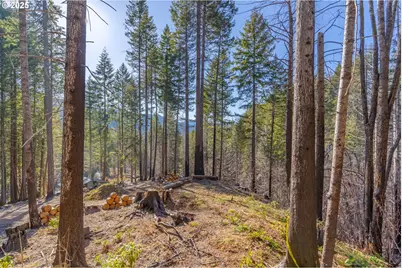 135 E Weber St, Detroit, OR 97342 - Photo 3