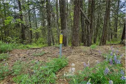 Nka Forest Glen Dr #38, Goldendale, WA 98620 - Photo 3