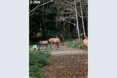 Land End Of Beech St, Cannon Beach, OR 97110 - Photo 9