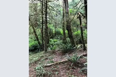 Land End Of Beech St, Cannon Beach, OR 97110 - Photo 7