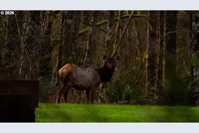 168 Yale Landing Rd, Cougar, WA 98616 - Photo 45