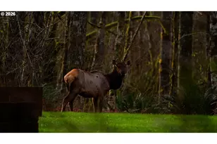 168 Yale-Landing Rd, Cougar, WA 98616 - Photo 45