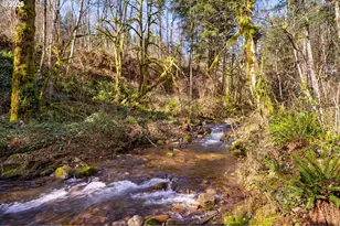 168 Yale-Landing Rd, Cougar, WA 98616 - Photo 47