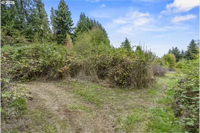 Walker Rd #21290, Rainier, OR 97048 - Photo 15