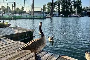 535 NE Bridgeton Rd, Portland, OR 97211 - Photo 39