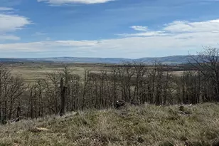 3 Trevor Rd, Goldendale, WA 98620 - Photo 9