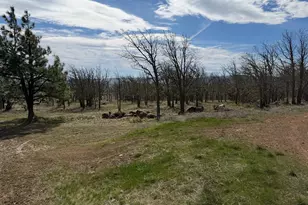 3 Trevor Rd, Goldendale, WA 98620 - Photo 27
