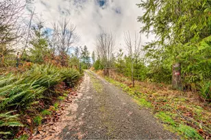 29721 NE Hanley Curry Rd, Amboy, WA 98601 - Photo 29