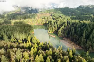 29721 NE Hanley Curry Rd, Amboy, WA 98601 - Photo 39