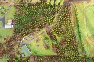 29721 NE Hanley Curry Rd, Amboy, WA 98601 - Photo 33