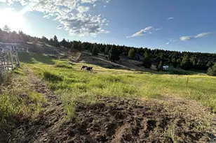 27028 Adam Rd, Canyon City, OR 97820 - Photo 17