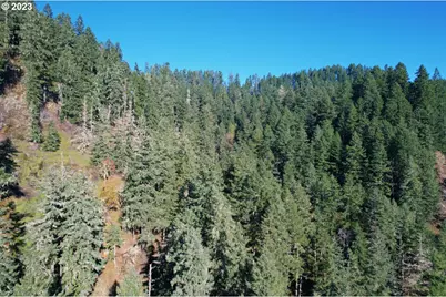 0 State Highway 38, Elkton, OR 97436 - Photo 3