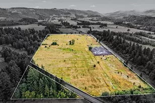 43417 Thomas Creek Dr, Scio, OR 97374 - Photo 3