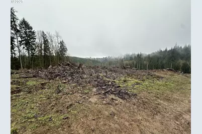 0 Terry Rd, Rainier, OR 97048 - Photo 1