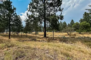 13644 Ben Dier Ln, Baker City, OR 97814 - Photo 47