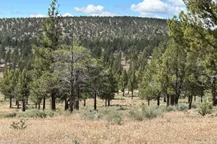 4705 NE Wittmer Rd, Prineville, OR 97754 - Photo 33
