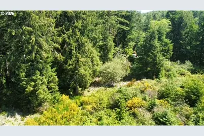 Tl 400 Erhart Rd, Florence, OR 97439 - Photo 9