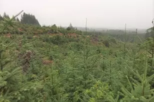 NW Ridge Rd, Forest Grove, OR 97116 - Photo 1