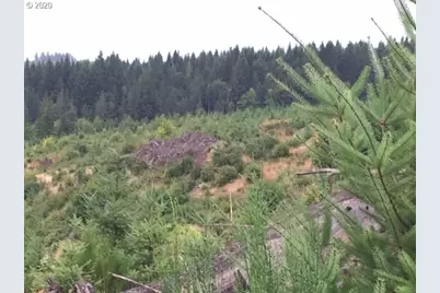 Nw Ridge Rd, Forest Grove, OR 97116 - Photo 5