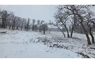 385 Woodland Rd, Goldendale, WA 98620 - Photo 7