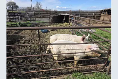 68499 Kunze Ln, Boardman, OR 97818 - Photo 19