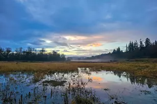 34521 Big Meadow Ln, Deer Island, OR 97054 - Photo 39