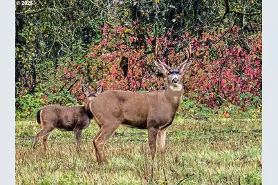 34521 Big Meadow Ln, Deer Island, OR 97054 - Photo 43