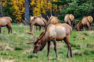 37555 Hauger Mountain Ln, Seaside, OR 97138 - Photo 5