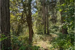 76526 W 2nd St, Oakridge, OR 97463 - Photo 23