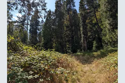 76526 W 2nd St, Oakridge, OR 97463 - Photo 19