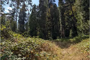 76526 W 2nd St, Oakridge, OR 97463 - Photo 19