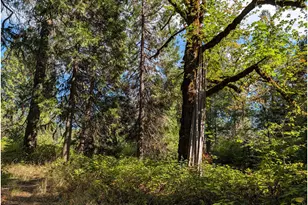 76526 W 2nd St, Oakridge, OR 97463 - Photo 21
