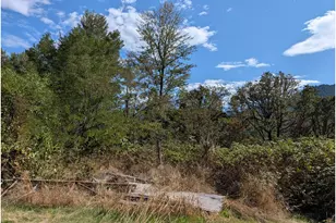 76526 W 2nd St, Oakridge, OR 97463 - Photo 17