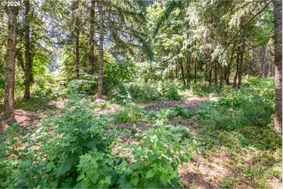Lot 103 Scravel Hill Rd, Albany, OR 97322 - Photo 17