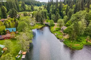 10252 Lakeview Dr, Birkenfeld, OR 97016 - Photo 27