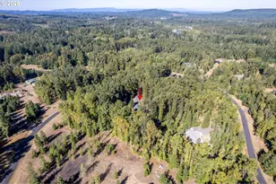 133 Riley Ct, Toutle, WA 98649 - Photo 31