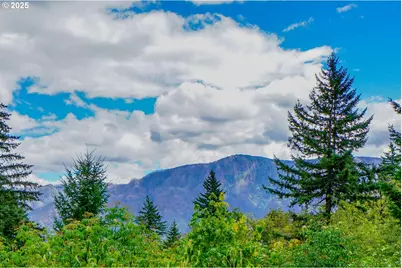 1922 Duncan Creek Rd, Stevenson, WA 98648 - Photo 11